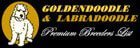 golden_labra_premium_breeders_logo