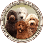 Goldendoodle Association Of North America 