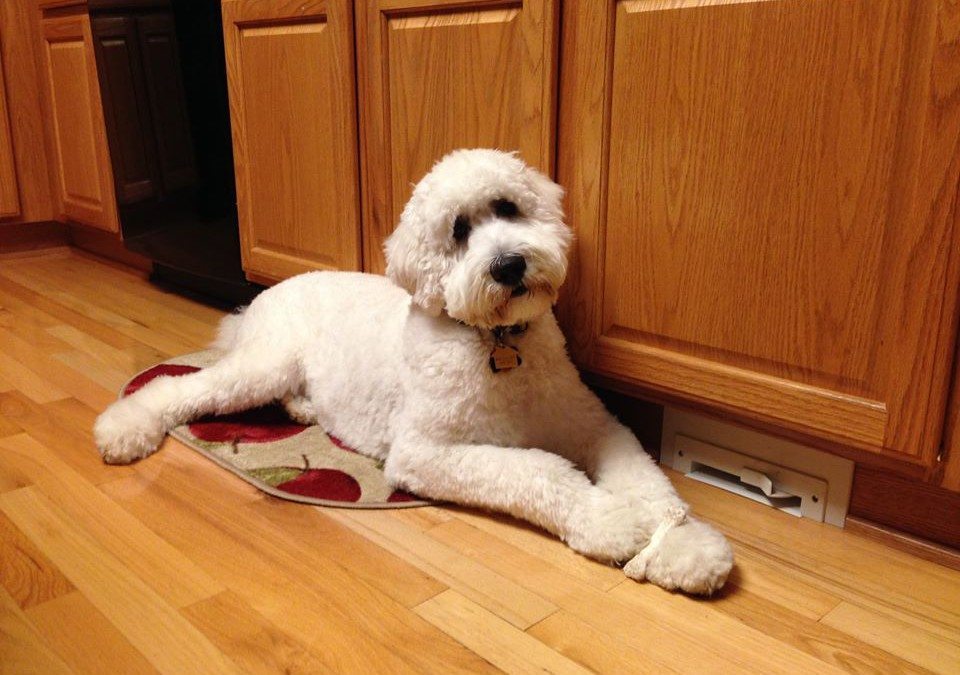 Dudley