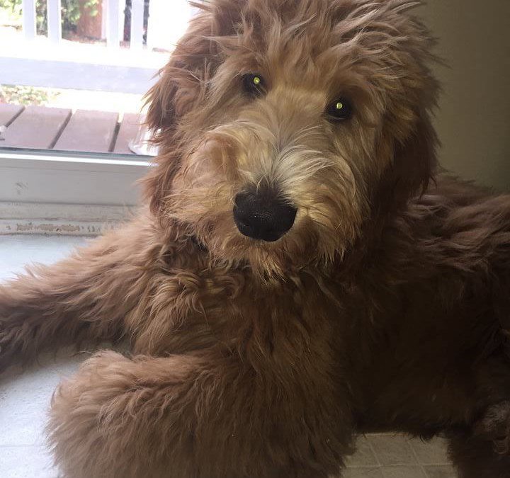 Charlie