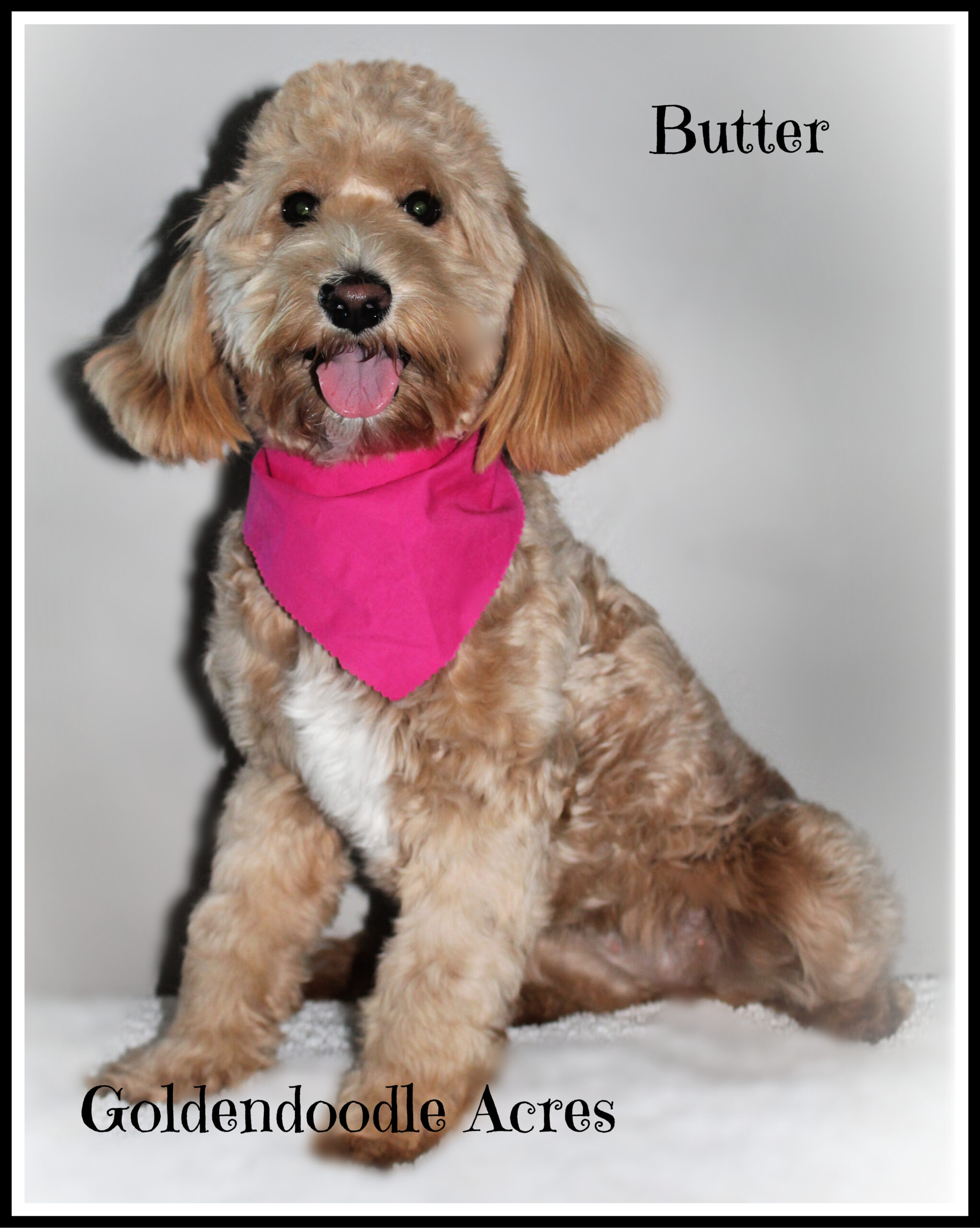 Butter Brown