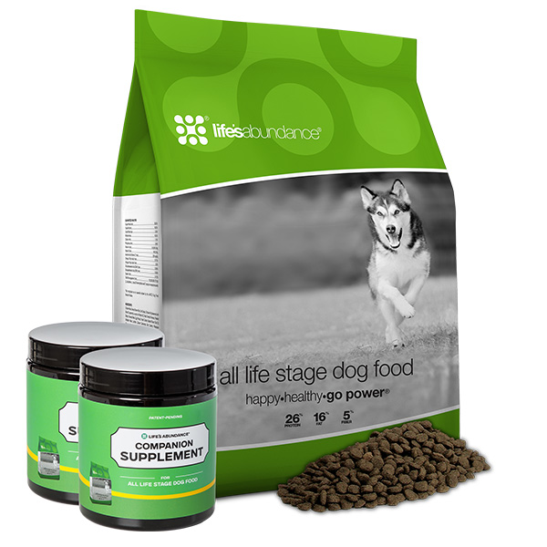 imgi_11_Dog-L-System-400